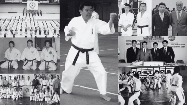 Qual é o estilo ensinado na Associação Karate-Do Tanaka